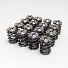 Load image into Gallery viewer, Skunk2 Pro Stage 1+ Camshaft - B VTEC +Alpha Valve Spring &amp; Ti Retainer Kit Package