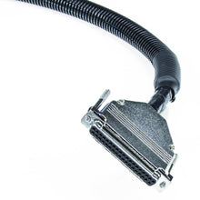 Load image into Gallery viewer, 8′ MegaSquirt Wiring Harness (MS1/MS2/MS3 Ready)