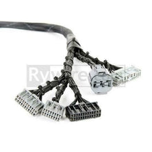 Load image into Gallery viewer, Rywire OBD1 Budget D & B-series Tucked Engine Harness