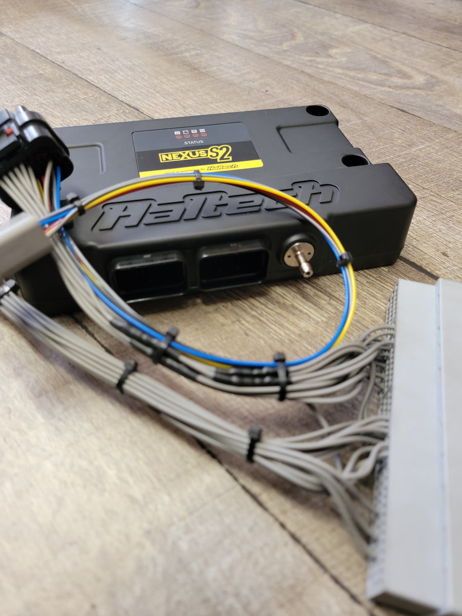 Haltech plug and play harness for obd2b Honda/Acura for the Haltech El ...