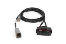Load image into Gallery viewer, Nexus Plug-in ECU - Honda EP3 (01-05) DC5 (02-04)