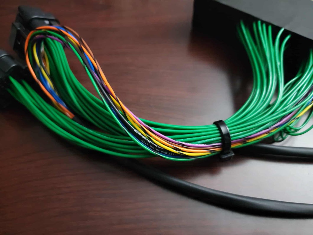 Haltech Elite 1500 / 2500 Plug and Play harness 9th Gen Honda Civic Si