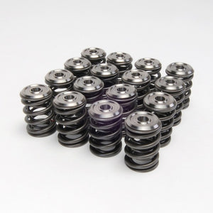 Skunk2 Pro Stage 1+ Camshaft - B VTEC +Alpha Valve Spring & Ti Retainer Kit Package