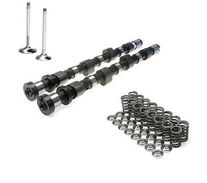 Brian Cower Head Package - Cams, Springs, Retainers, Valves - SR20DET