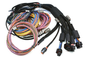 Haltech NEXUS R5 + Universal Wire-in Harness Kit