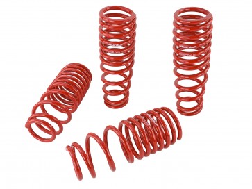Lowering Springs - '96-'00 Civic