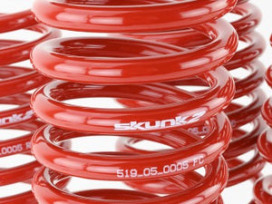 Lowering Springs - '96-'00 Civic