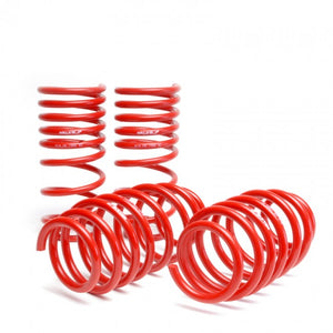 Skunk2 Lowering Springs - 16+ Civic