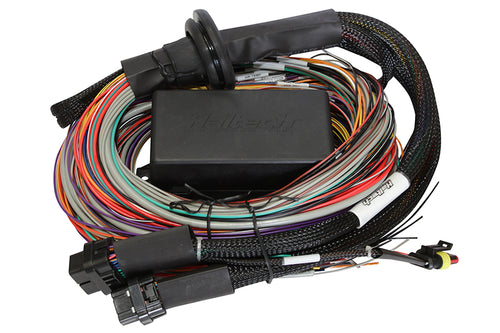 Elite 1500 Premium Universal Wire-in Harness