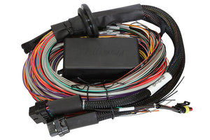 Elite 1500 Premium Universal Wire-in Harness