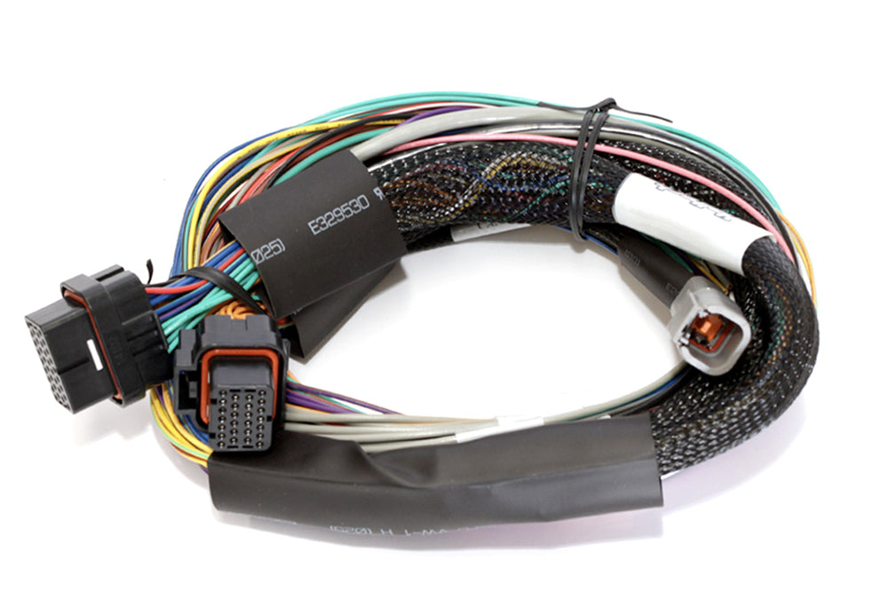 Elite 1000 Basic Universal Wire-in Harness Length: 2.5m (8')
